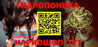 дмт Севастополь
