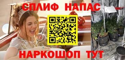 дмт Севастополь