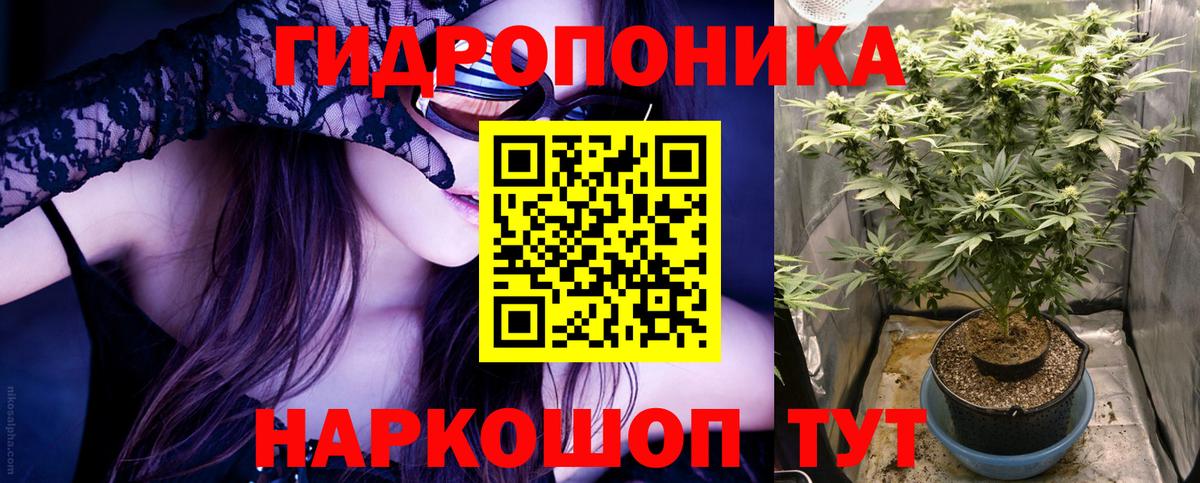 МАРИХУАНА конопля Батайск